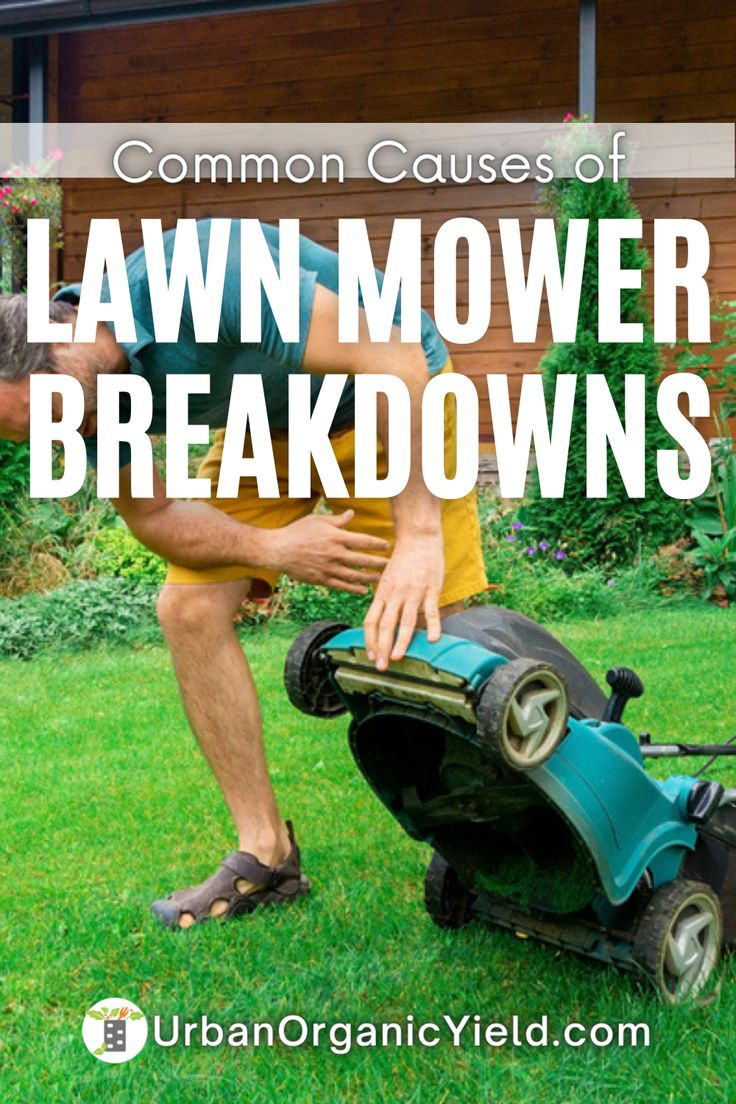 Common Mistakes When Starting a Lawn Mower and How to Avoid Them