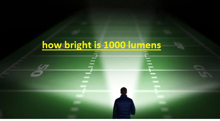 What 1000 Lumens Looks Like Under the Sun