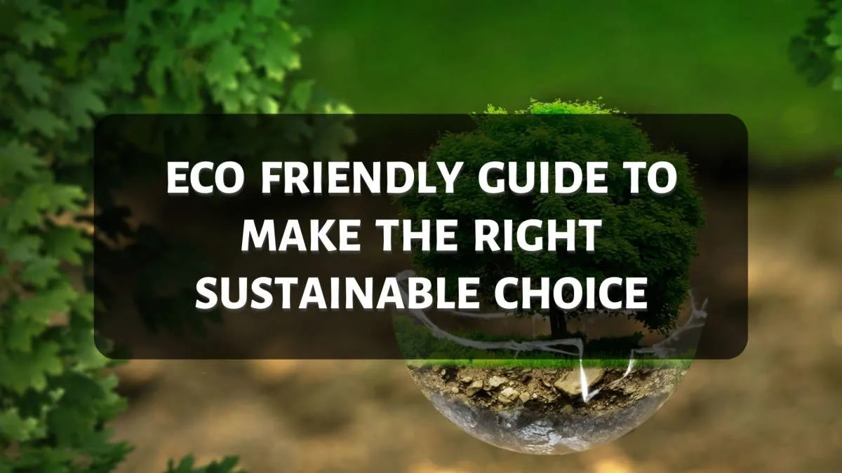 Making Sustainable Travel Choices: Eco-Friendly Practices And Gear ... regarding