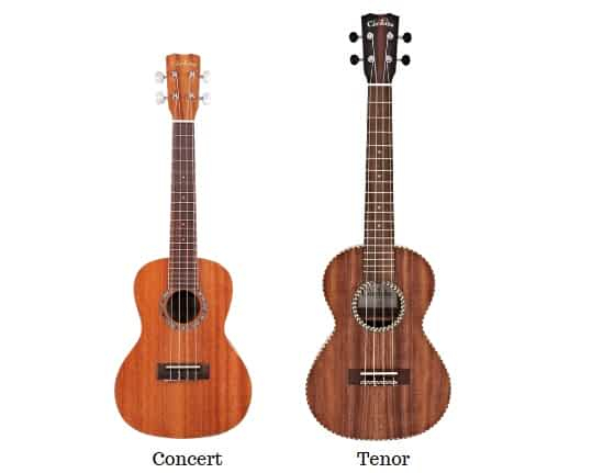 Understanding the Differences Between Premium and Affordable Tenor Ukuleles