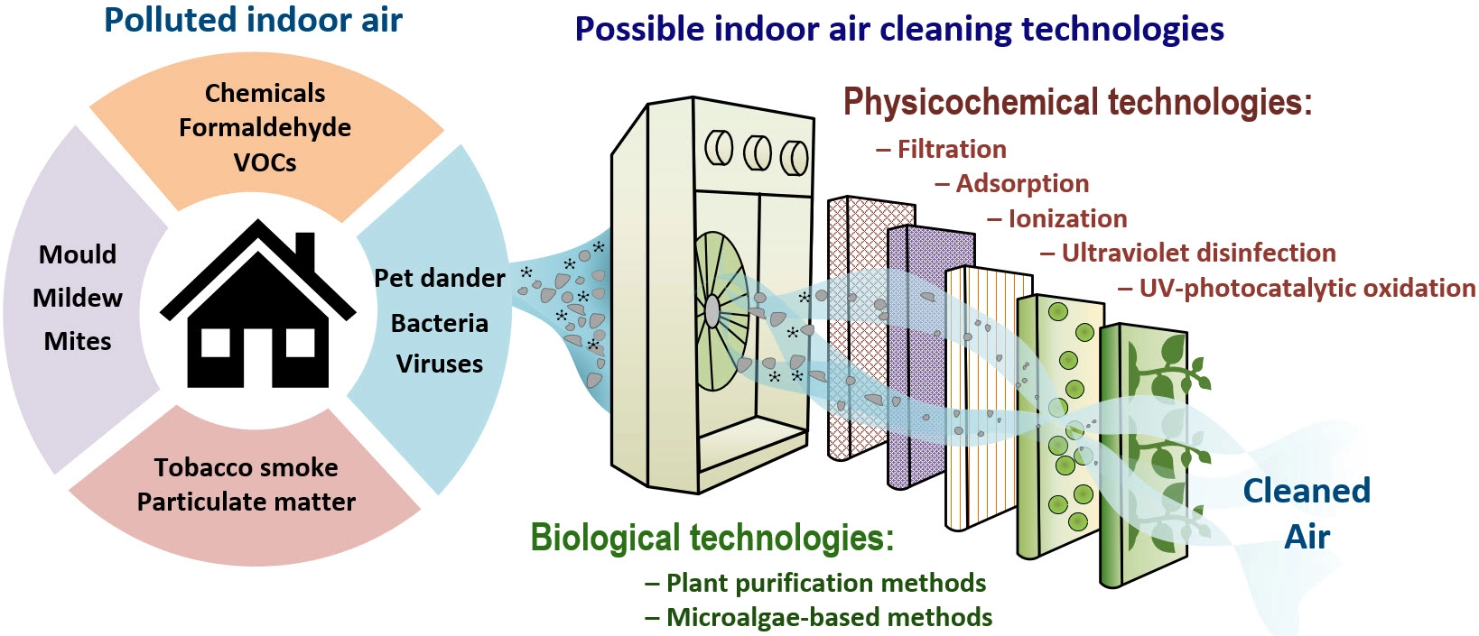 The Role Of Filtration In Maintaining Indoor Air Purity - Soap Rpc in The science behind air purification and respiratory health