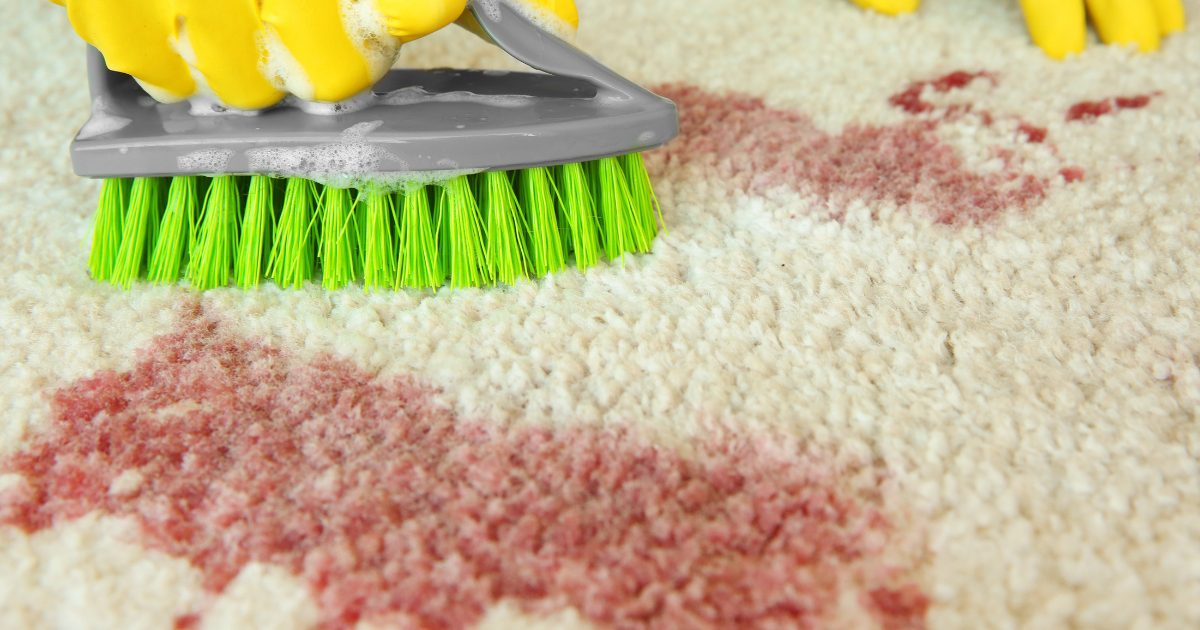Expert Tips for Removing Tough Stains from Carpets Without Damage