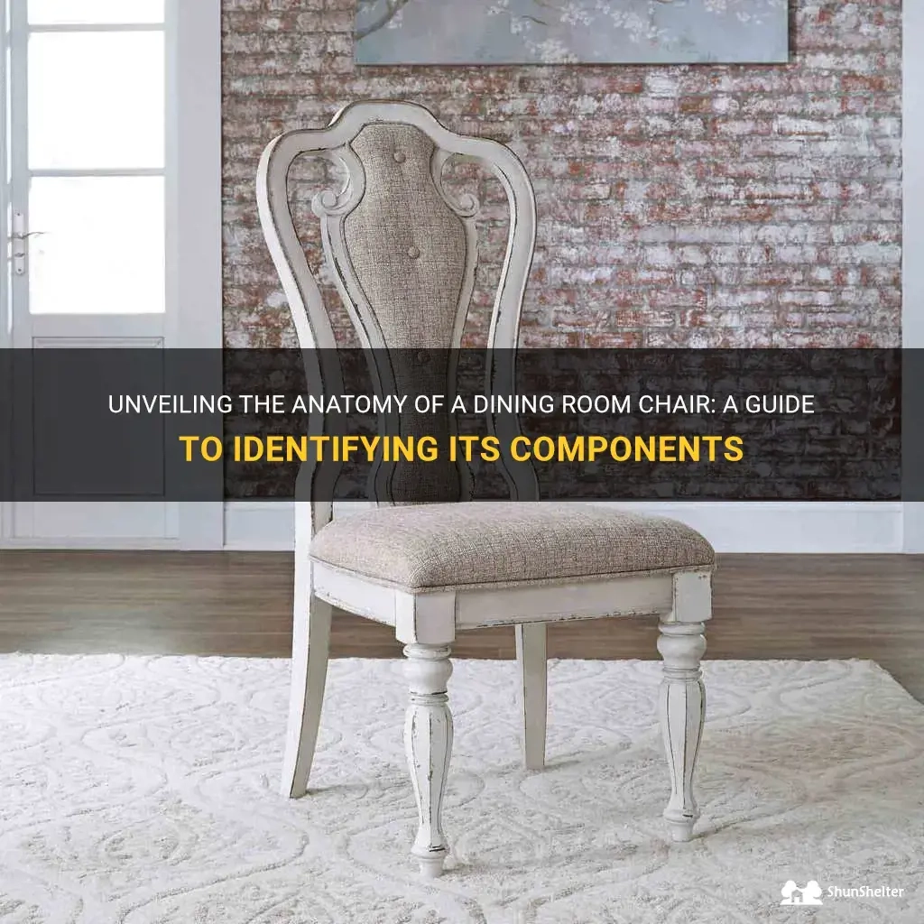 Unveiling The Anatomy Of A Dining Room Chair: A Guide To Identifying ... throughout From Design to Dining The Anatomy of a Perfect Dining Chair