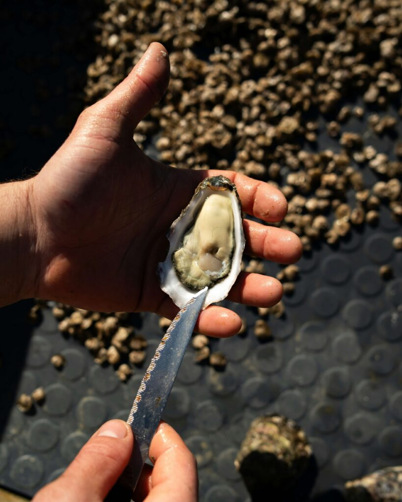 Pro tips for maintaining and caring for your oyster knife