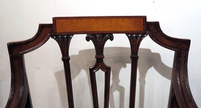 Fine Set Of 12 Sheraton Satinwood-Inlaid Mahogany Dining Chairs, Circa ... intended for Sheraton's Satinwood Side Chair